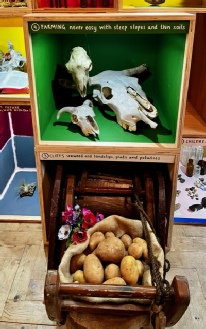 Maisie's pics Box 4.jpg