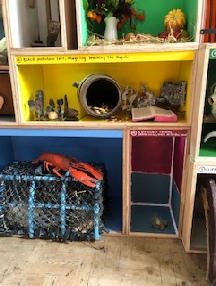 barbs pics Box 2.jpg