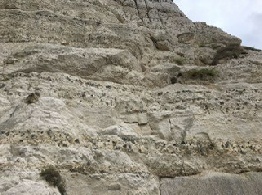 Chalk With Flint.jpg