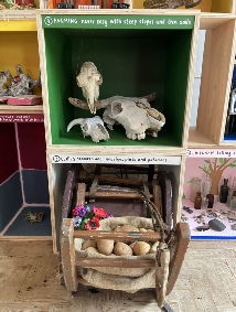 Rose's pics Box 3.jpg